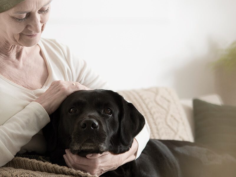 Spezialisierten ambulanten Palliativ-Versorgung