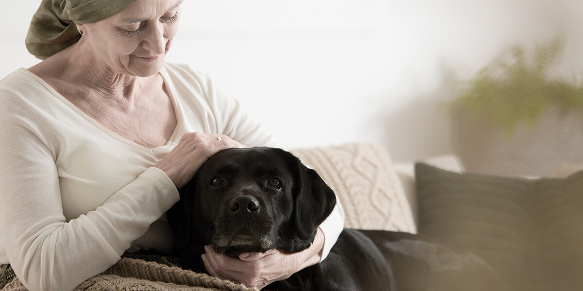 Spezialisierten ambulanten Palliativ-Versorgung Spezialisierten ambulanten Palliativ-Versorgung